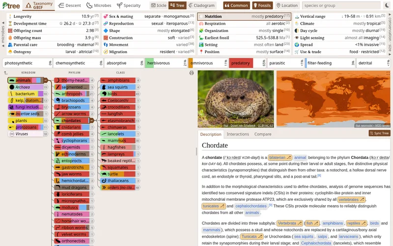 Screenshot of Ptree